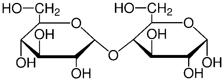 Disacharydy – budowa, przykłady i znaczenie w diecie oraz biologii